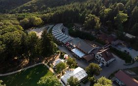 Domaine Du Hirtz, Restaurant & Spa