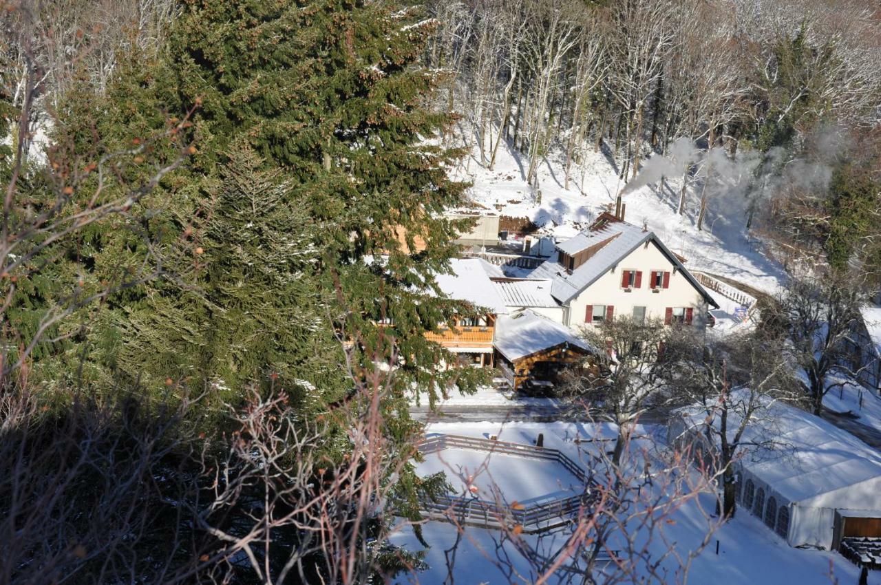 Domaine Du Hirtz, Restaurant & Spa Wattwiller Zewnętrze zdjęcie