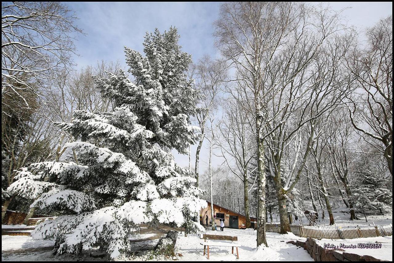 Domaine Du Hirtz, Restaurant & Spa Wattwiller Zewnętrze zdjęcie